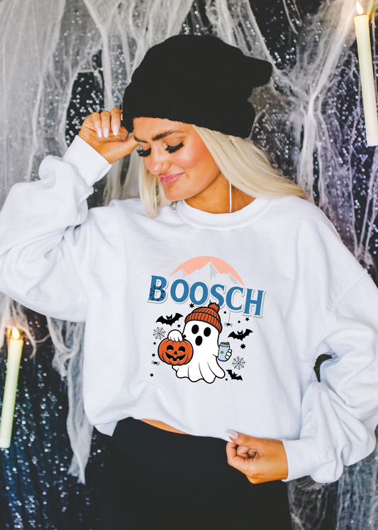 Boosch Light